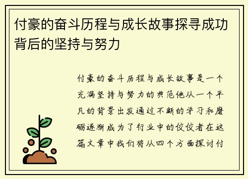 付豪的奋斗历程与成长故事探寻成功背后的坚持与努力